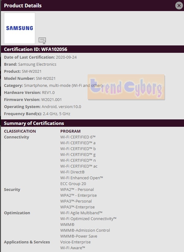 Samsung Galaxy W21 5G