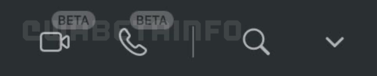 Whatsapp Call Button